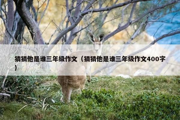 猜猜他是谁三年级作文（猜猜他是谁三年级作文400字）