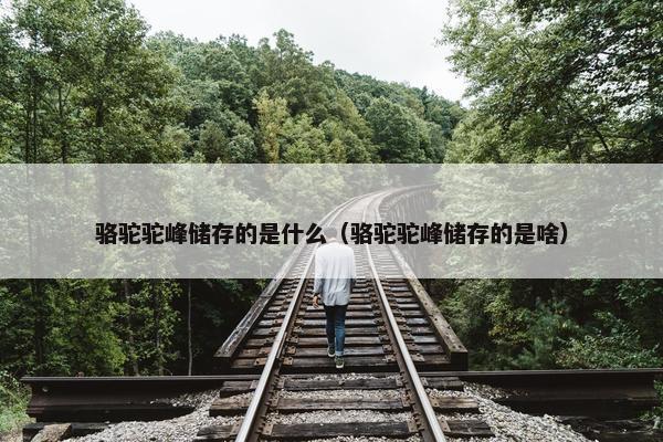 骆驼驼峰储存的是什么（骆驼驼峰储存的是啥）