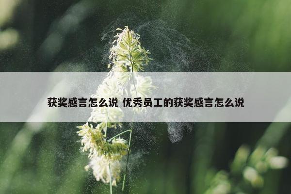 获奖感言怎么说 优秀员工的获奖感言怎么说