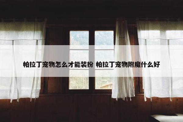 帕拉丁宠物怎么才能装扮 帕拉丁宠物附魔什么好