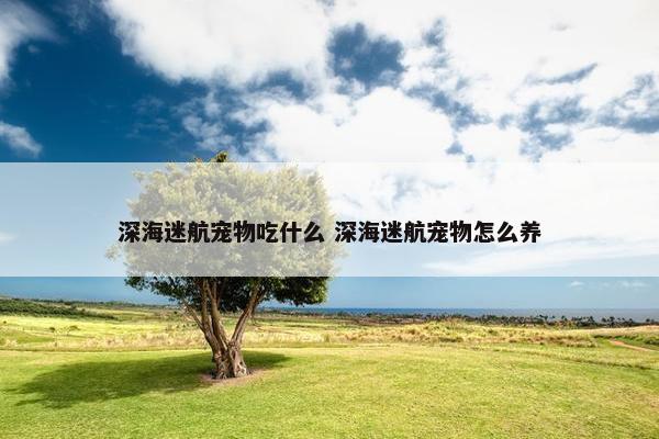 深海迷航宠物吃什么 深海迷航宠物怎么养