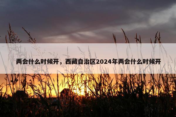 两会什么时候开，西藏自治区2024年两会什么时候开