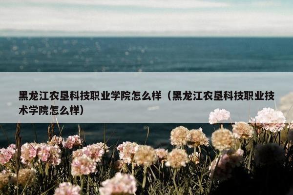 黑龙江农垦科技职业学院怎么样（黑龙江农垦科技职业技术学院怎么样）