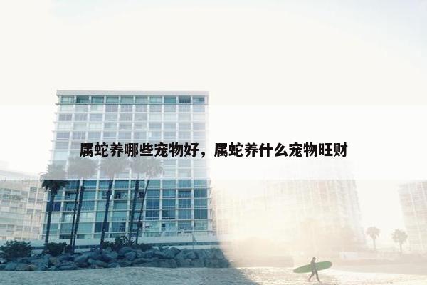 属蛇养哪些宠物好，属蛇养什么宠物旺财