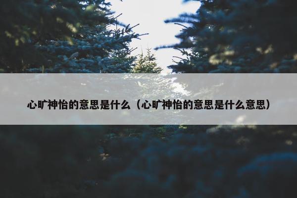 心旷神怡的意思是什么（心旷神怡的意思是什么意思）