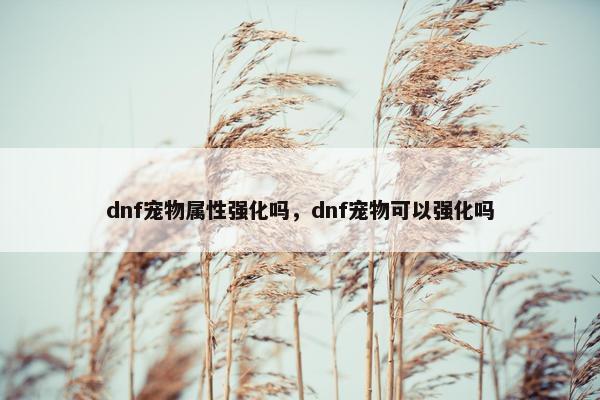 dnf宠物属性强化吗，dnf宠物可以强化吗