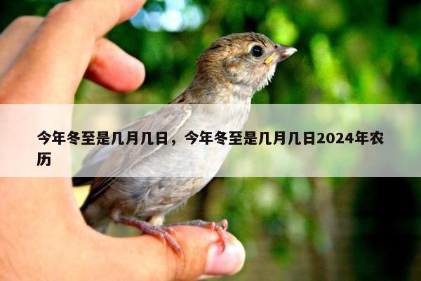 今年冬至是几月几日，今年冬至是几月几日2024年农历