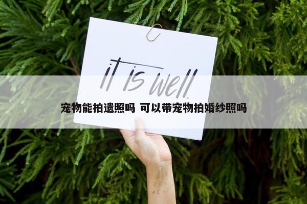 宠物能拍遗照吗 可以带宠物拍婚纱照吗