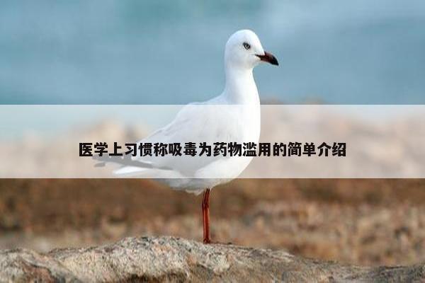 医学上习惯称吸毒为药物滥用的简单介绍