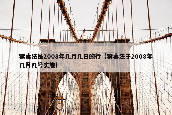 禁毒法是2008年几月几日施行（禁毒法于2008年几月几号实施）