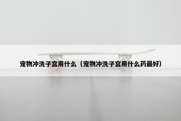 宠物冲洗子宫用什么（宠物冲洗子宫用什么药最好）