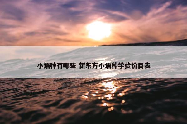 小语种有哪些 新东方小语种学费价目表