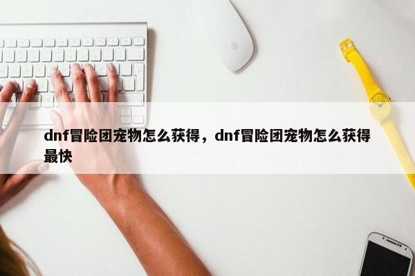 dnf冒险团宠物怎么获得，dnf冒险团宠物怎么获得最快