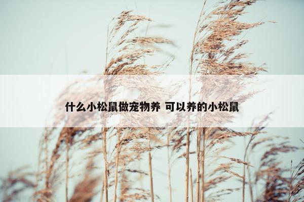 什么小松鼠做宠物养 可以养的小松鼠