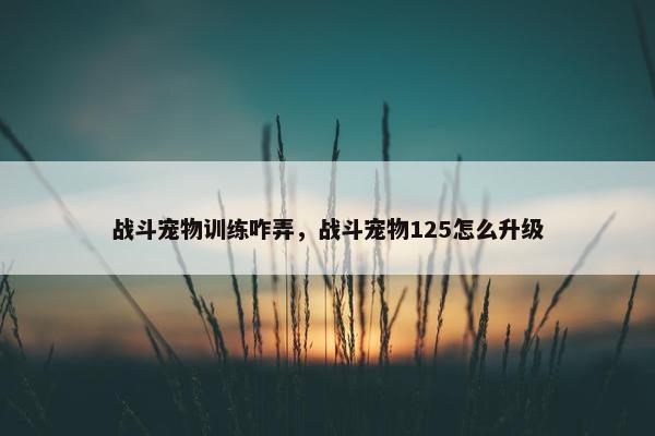 战斗宠物训练咋弄，战斗宠物125怎么升级