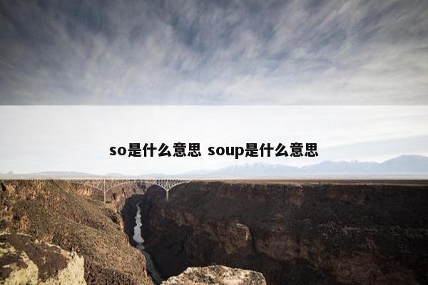 so是什么意思 soup是什么意思