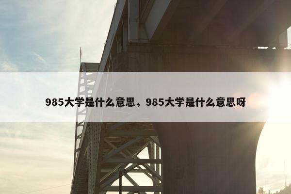 985大学是什么意思，985大学是什么意思呀