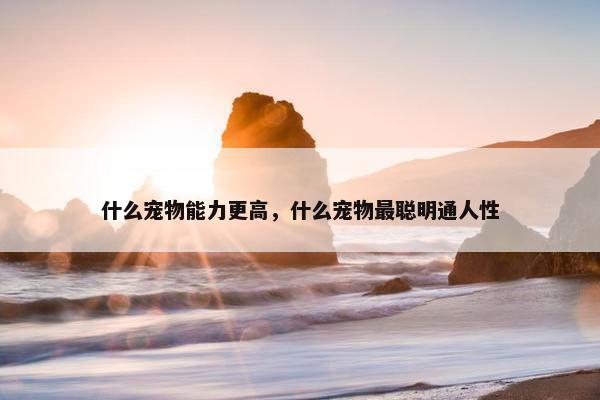 什么宠物能力更高，什么宠物最聪明通人性