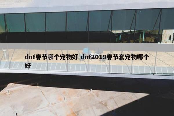 dnf春节哪个宠物好 dnf2019春节套宠物哪个好