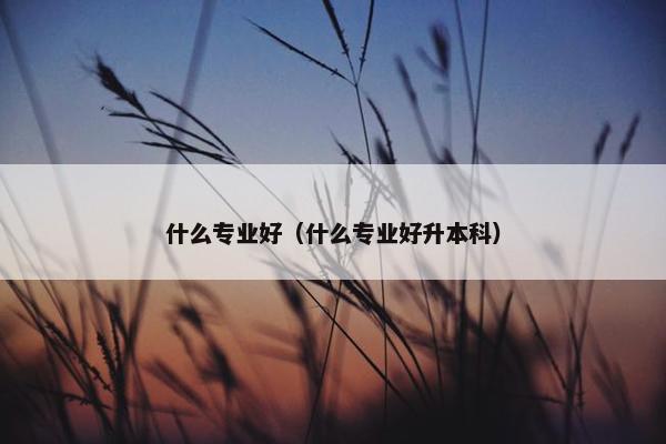 什么专业好（什么专业好升本科）