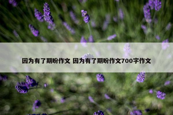 因为有了期盼作文 因为有了期盼作文700字作文