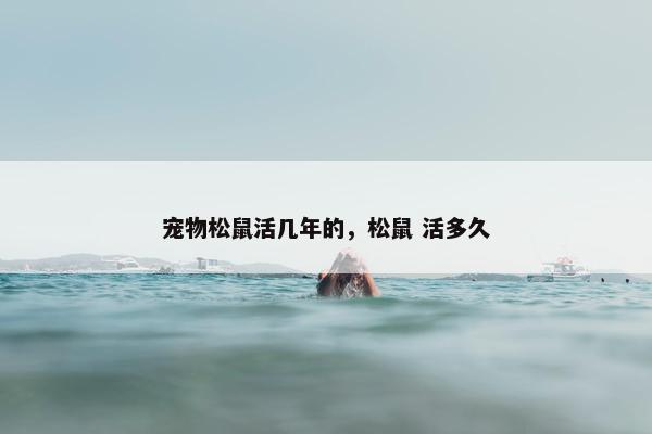 宠物松鼠活几年的，松鼠 活多久