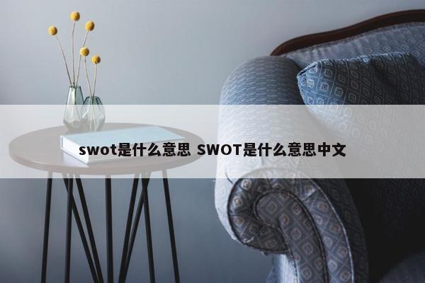 swot是什么意思 SWOT是什么意思中文