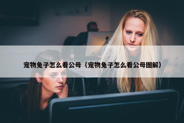 宠物兔子怎么看公母（宠物兔子怎么看公母图解）