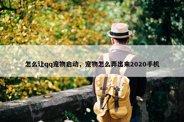 怎么让qq宠物启动，宠物怎么弄出来2020手机