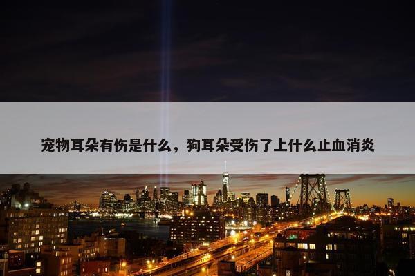 宠物耳朵有伤是什么，狗耳朵受伤了上什么止血消炎