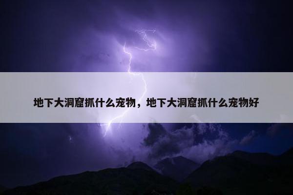 地下大洞窟抓什么宠物，地下大洞窟抓什么宠物好