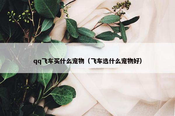 qq飞车买什么宠物（飞车选什么宠物好）