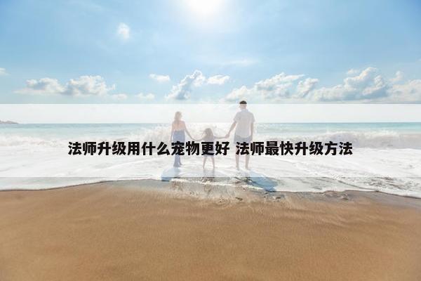 法师升级用什么宠物更好 法师最快升级方法