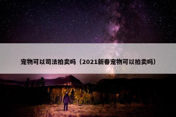 宠物可以司法拍卖吗（2021新春宠物可以拍卖吗）