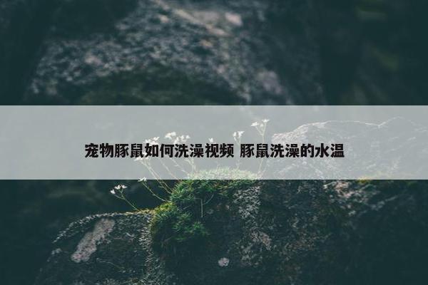 宠物豚鼠如何洗澡视频 豚鼠洗澡的水温