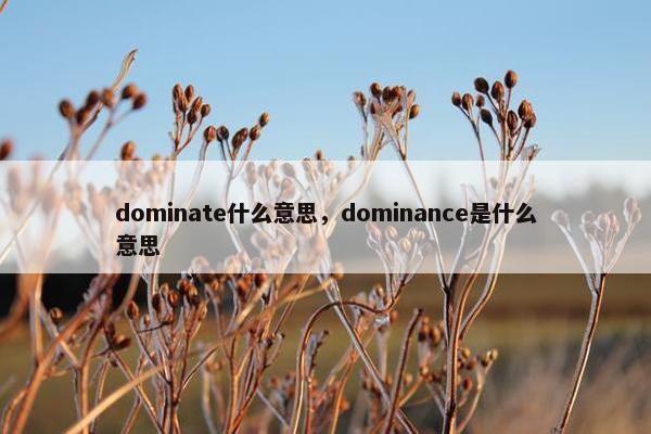 dominate什么意思，dominance是什么意思