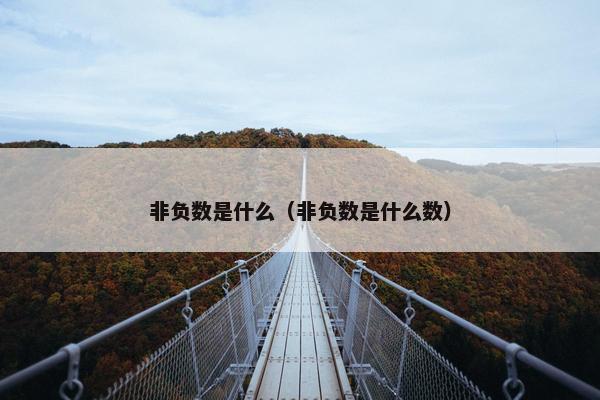 非负数是什么（非负数是什么数）