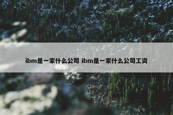 ibm是一家什么公司 ibm是一家什么公司工资