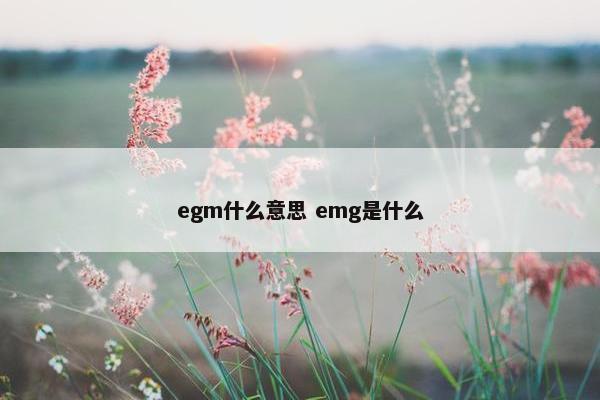 egm什么意思 emg是什么