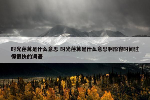 时光荏苒是什么意思 时光荏苒是什么意思啊形容时间过得很快的词语