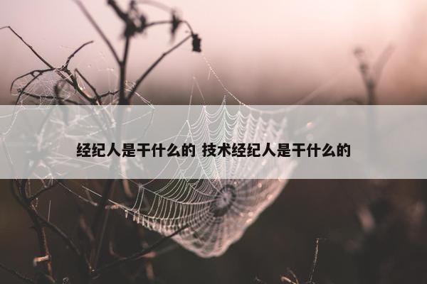 经纪人是干什么的 技术经纪人是干什么的