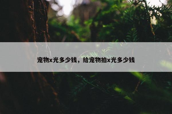 宠物x光多少钱，给宠物拍x光多少钱