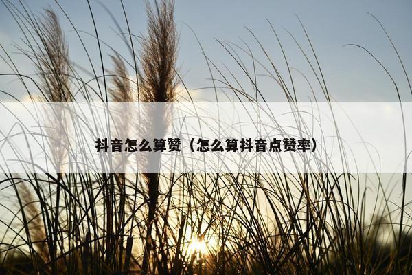 抖音怎么算赞（怎么算抖音点赞率）