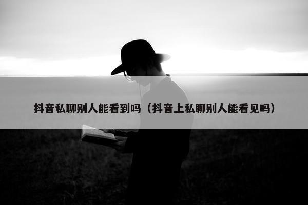 抖音私聊别人能看到吗（抖音上私聊别人能看见吗）