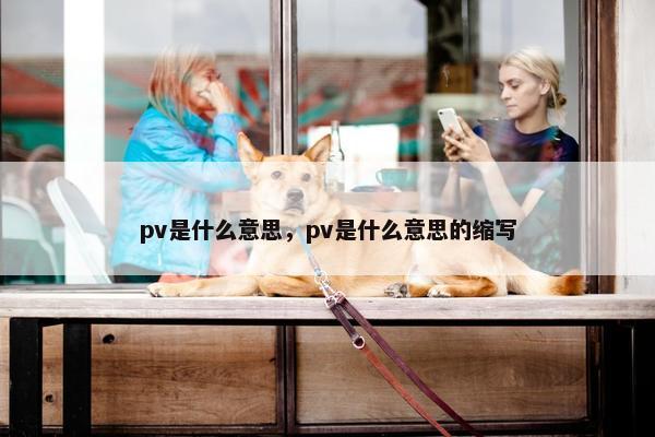 pv是什么意思，pv是什么意思的缩写