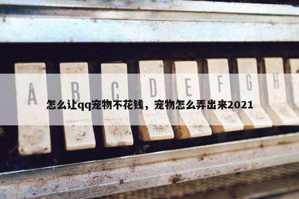 怎么让qq宠物不花钱，宠物怎么弄出来2021