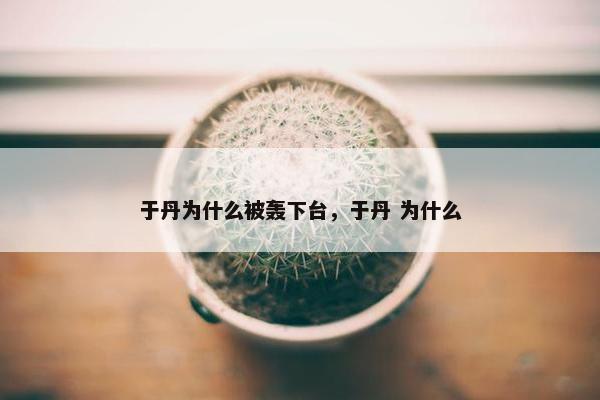 于丹为什么被轰下台，于丹 为什么