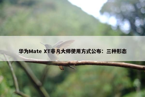 华为Mate XT非凡大师使用方式公布：三种形态