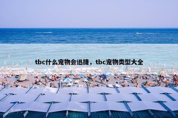 tbc什么宠物会迅捷，tbc宠物类型大全