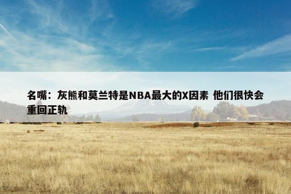 名嘴：灰熊和莫兰特是NBA最大的X因素 他们很快会重回正轨